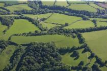  WERN WOOD HILLFORT, PENYRWRLODD