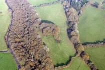  TRE-COLL, HILLFORT;TRECOLL HILLFORT