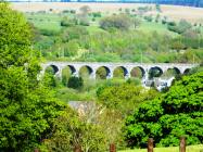 Cefn Viaduct from Cyfarthfa Park