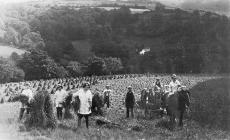 Women's Land Army, harvesting in Builth 1917