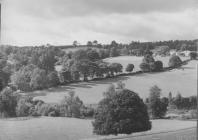 Golygfa o Ysgol Breswyl Plas Hafodunos