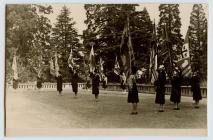 Royal Salute on the lawn at Broneirion