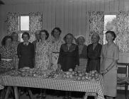  Members of Welshampton Women's Institue...