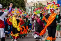 Cardiff Carnival 2013