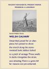 Welsh Calvary by Damian Walford Davies