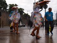 Cardiff Carnival 2014