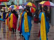 Cardiff Carnival 2014