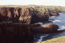 Twinlet Bay with Mad Bay, Skokholm Island 1982