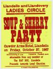 Llandeilo and Llandovery Ladies Circle Poster