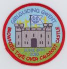 Girlguiding Gwent Brownie Take Over Caldicot...