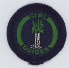 Guide Welsh Folk Interest badge