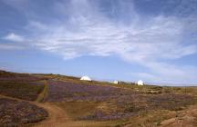 South valley, well area and buildings, Skokholm...