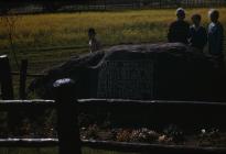 Malacara's Grave - Trefelin