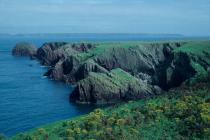 Skokholm - North Haven and the Stack in 1986