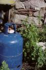 Skokholm - Gas cylinder, plant & old mangle...