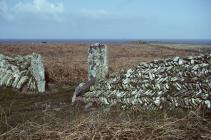 Skokholm old stone wall