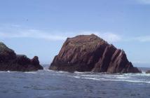 The Stack, Skokholm Island from the sea. 1982.