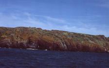 Southern Cliffs, Skokholm Island 1982.