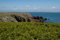 Skokholm - Neck south side on 14-06-2010