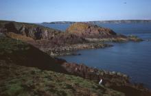 The Stack, Skokholm Island