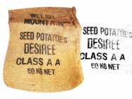 Welsh Mountain Seed Potatoes