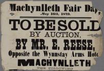 Machynlleth Fair Day 1879 To Be Sold by Auction 