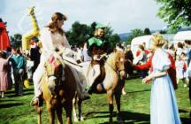 Aberdare Carnival 1991, Aberdare Park 