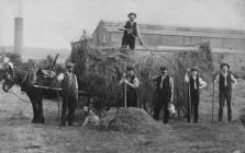 View of haymaking at Ynysywern Farm circa 1902-10