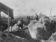 Haymaking at Ynysywern Farm