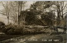 Ar ol y storm yn Rhodfa Plas Crug 28 Chwefror 1937