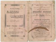 Programme of Dyfed Eisteddfod, Dre-fach...