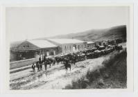 Esquel - wagons (Gough?), in front of Co-op.