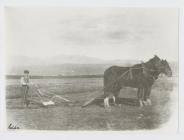 Ploughing