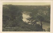 Ponds near Bosherston