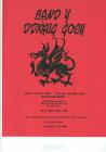 Band Y Ddraig Goch concert poster, 1991