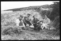 Having tea in the corn field