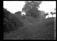 Offa's Dyke at Caeau Gwynion