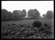 Offa's Dyke at Wem Cottage