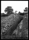 Offa's Dyke excavations near Court House