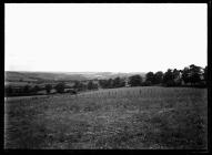 Offa's Dyke at Cwm Whitton Hill