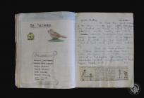 Logbook of the 10th Cardiff High School Company...