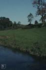 Boverton, Llantwit Major: Plant/tree & Water