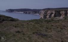 Tresilian Bay: Landscape & Water