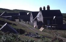 Bardsey Island: Mammal & History/Archaeology