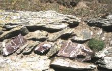 Bardsey Island: Geology & History/Archaeology