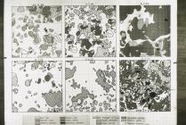Skokholm Island: Map/Figure & Plant/tree