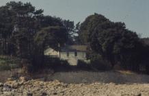 Penarth, Vale of Glamorgan: Plant/tree &...