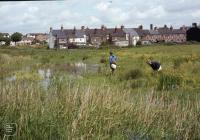 Cadoxton Pool, Barry: Landscape & Water