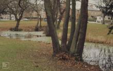 Llandennis Oval, Roath, Cardiff: Landscape &...