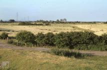 Lamby, Cardiff: Landscape & Agriculture